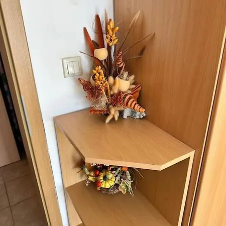 Apartment Cozy With Mountain View *