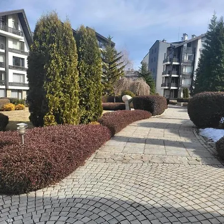 Cozy With Mountain View *